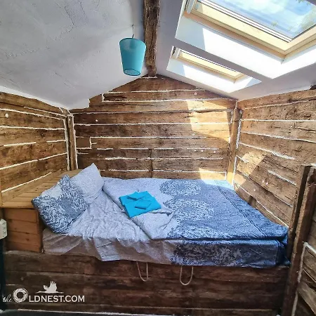 The Old Nest Pensiune