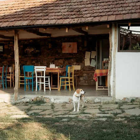 The Old Nest Pensiune 3*