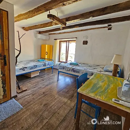 Pensiune The Old Nest 3*