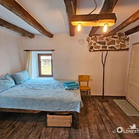 The Old Nest Pensiune 3*
