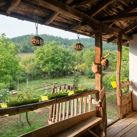 Pensiune The Old Nest Madzharovo