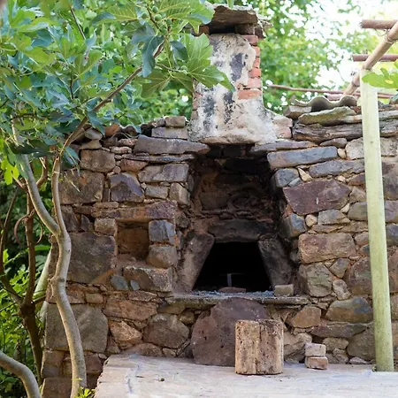 The Old Nest 3*